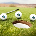 UMKC Roos Golf Balls Set of 3