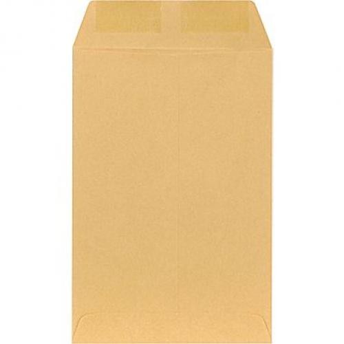 Kraft 6 x 9 Envelope