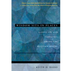 WISDOM SITS IN PLACES