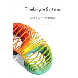 THINKING IN SYSTEMS