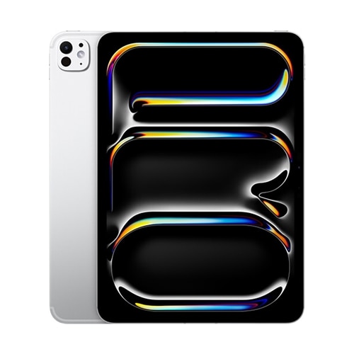 iPad Pro 11インチm4チップ　256GB 11-Inch M4 Chip iPad Pro 256GB Wi-Fi Standard Glass Silver