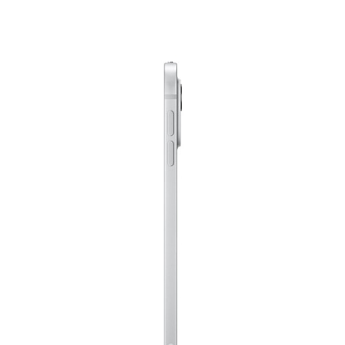 11-Inch M4 Chip iPad Pro 256GB Wi-Fi Standard Glass Silver